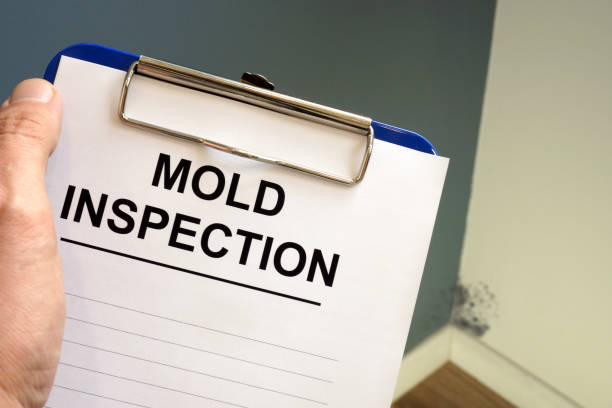 Best Residential Mold Inspection & Testing  in Bryan, TX